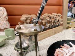 -椰子营·椰子鸡火锅(万象里店)