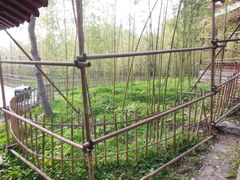 -紫竹院公园冰场
