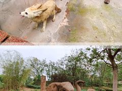 -乐和乐都主题乐园