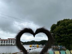 -济州森林小火车生态公园