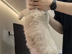 -御宝贝24h宠物医院·转诊中心·CT核磁血透中心(厦门总院)