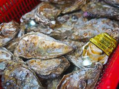 -巽寮印象美食部落餐厅·海鲜·地方特色菜(惠州体验店)