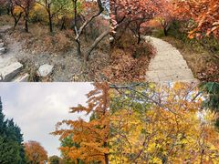 -北京西山国家森林公园