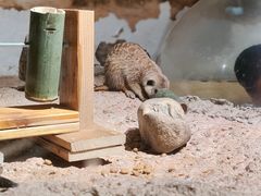 -正佳雨林生态植物园
