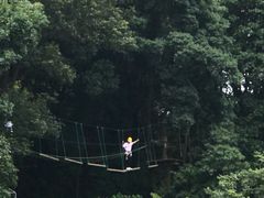 -天鹿湖森林公园