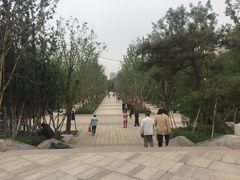 -迎泽公园