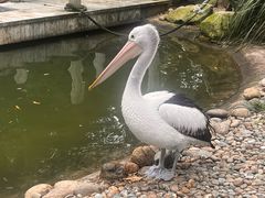 -费瑟代尔野生动物园