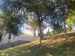 -广州雕塑公园