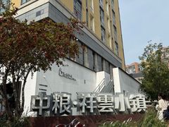 -野人先生现做冰淇淋(北京顺义祥云小镇店)