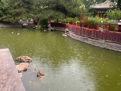 -宣武艺园