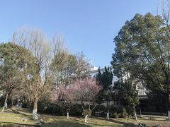 -上海总会SHANGHAICLUB(兴业太古汇店)