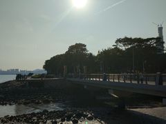 -深圳湾公园(南山区)