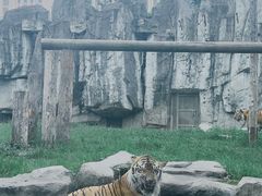 -上海野生动物园