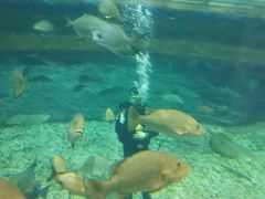 -秦皇岛新澳海底世界