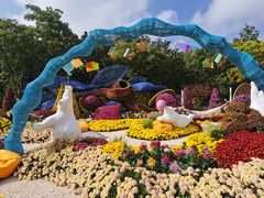 -上海共青森林公园