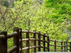 -少华山国家森林公园