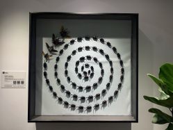 -酷嗒动物文化乐园(cutezoo西溪乐天城店)