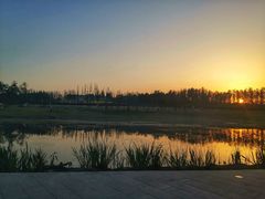 -两河城市森林公园