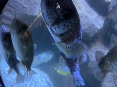 -成都浩海立方海洋公园