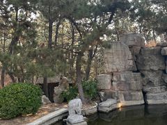 -林海公园