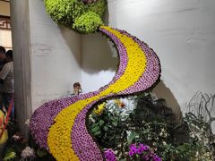 -杭州植物园
