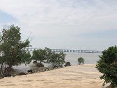 -宝安西湾红树林湿地公园