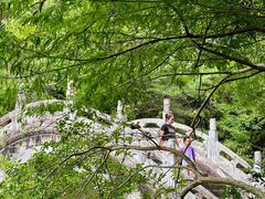 -深圳仙湖植物园