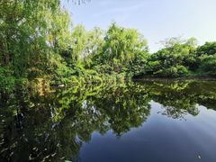 -龙坞茶村