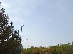-湖锦酒楼·旗舰店(三阳总店)
