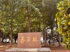 -烟台山景区