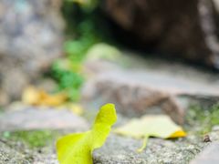 -无锡惠山寺