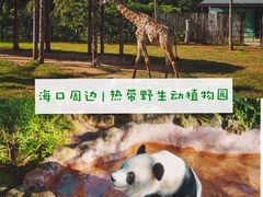 -海南热带野生动植物园