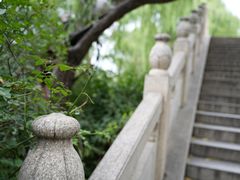 -济南大明湖景区