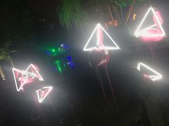 -锦江乐园舞狸花花游园会(夜场专享)