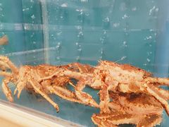 -财神岛·大连海鲜餐厅