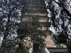 -西安城墙·碑林历史文化景区