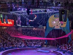 -俄罗斯国家大马戏团