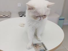 -怪兽屋·羊驼·猫咖·狗咖(俊华广场店)