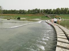 -洨河生态公园