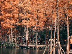 -重庆彩云湖湿地公园