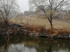 -北京西山国家森林公园