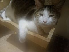 -万小咖.猫咖(中山路天虹店)
