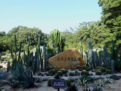 -深圳仙湖植物园