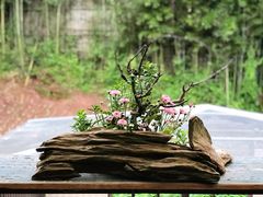 -乐领拈花溪·林涧食韵