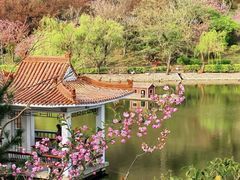 -北岭山森林公园