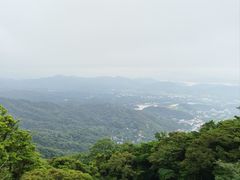 -满記土窑烧鷄波浪山莊