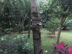 -三亚湾海居铂尔曼度假酒店