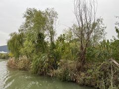 -长兴太湖图影湿地文化园