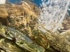 -聚德福海鲜家常菜(刘庄店)