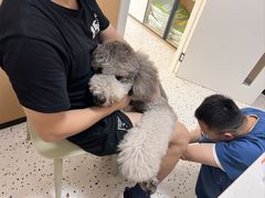 -瑞派康怡24h宠物医院·犬猫医疗中心·微创绝育(瑞景分院)